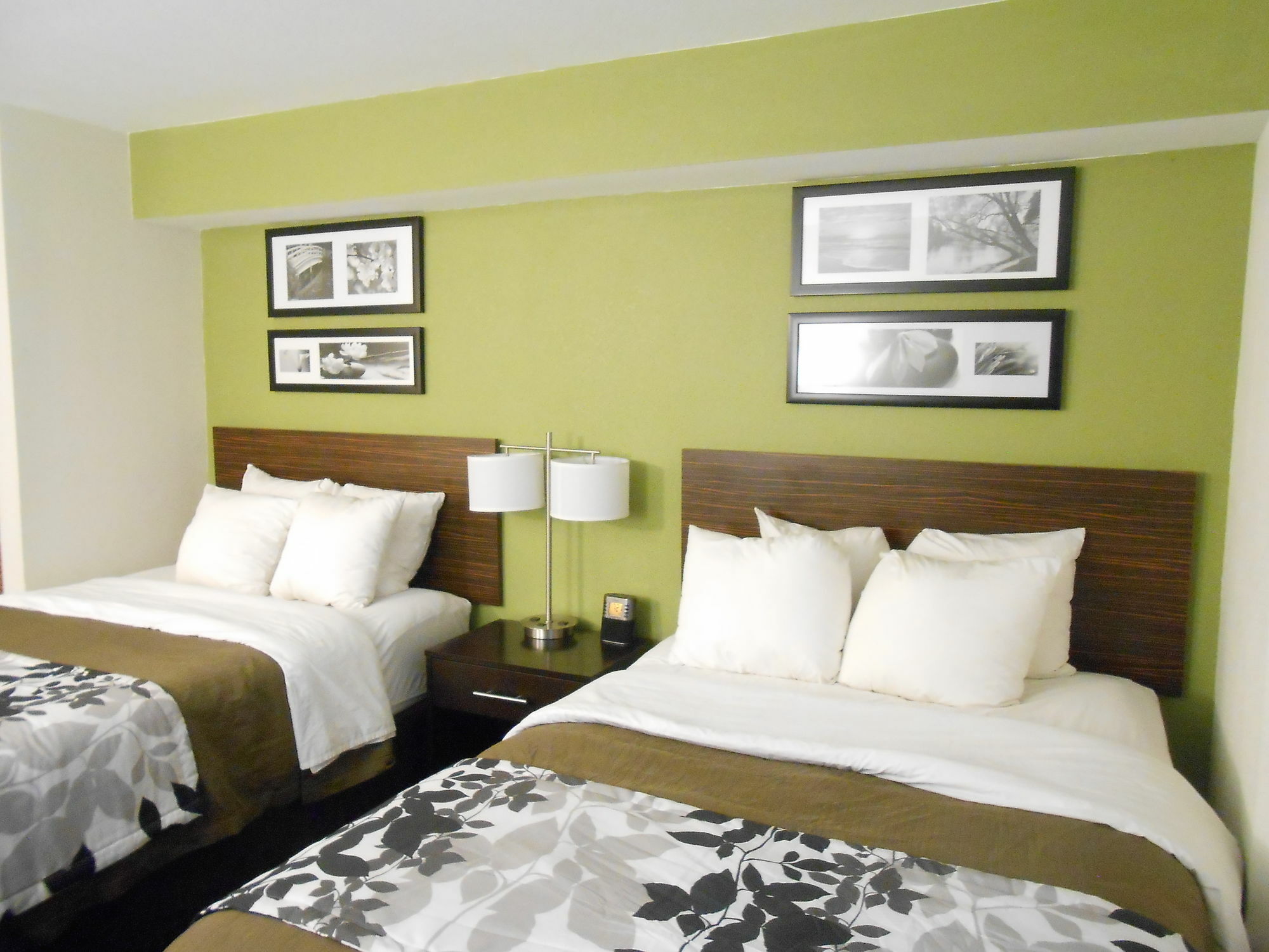 Surestay Plus By Best Western Mesa Superstition Springs Exterior foto